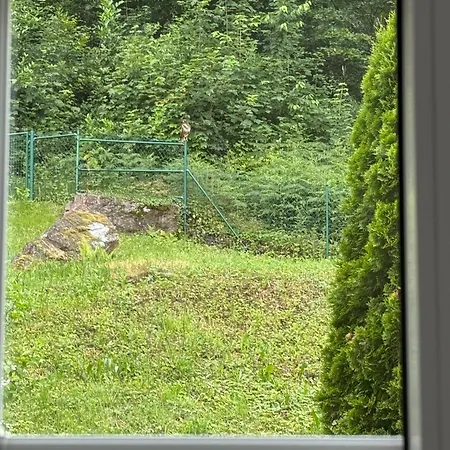 Hawks Black Forest Villa * Baden-Baden